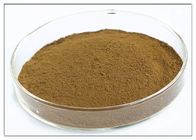 Oleuropein 20% Ekstrak Daun Alami untuk Suplemen Diet Brown Powder