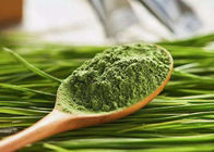 100 Mesh Hijau Kesehatan Bubuk Jus Rumput Barley Bubuk Untuk Suplemen Makanan