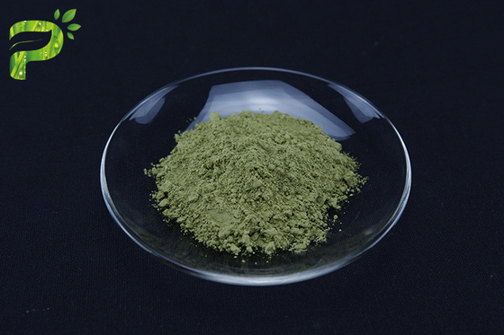 Matcha Green Tea Powder Dari Daun Camellia Sinensis