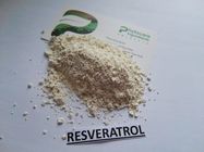 Anti Oksidasi Natural trans Resveratrol 98, bubuk 99% dari Root of Giant Knotweed