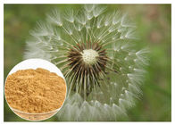 Brown Dandelion Root Extract Powder, 80 Mesh Dandelion Root Supplement
